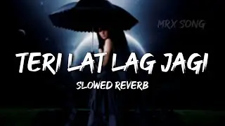 Teri Lat Lag Jagi (Slowed Reverb) || Sapna Choudhary x MRx Song