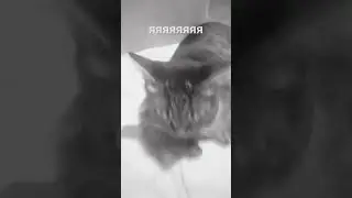 28 октября 2023 г.