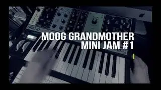 Moog Mini Jam #1 - Moog Grandmother - Unleashing the Power of Analog Magic.
