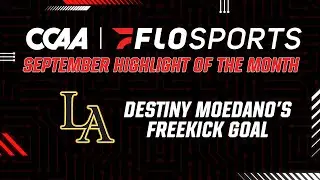 CCAA Highlight of the Month Winner - Sept 2024