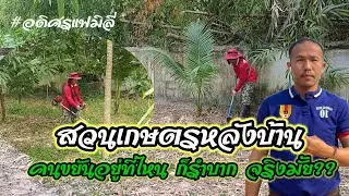 adisornfamily | สวนเกษตรหลังบ้าน ความสุขของคนได้อยู่บ้าน ดูแลสวนเกษตรหลังบ้าน