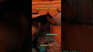 Даша все видит😸 жми 🔔 чтобы не пропускать новые видео ✨