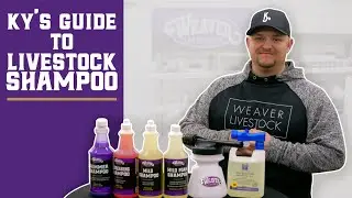 Your Guide to Livestock Shampoos