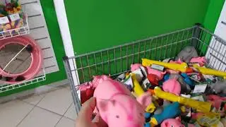 Хрюн.
