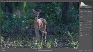 Editing in photoshop