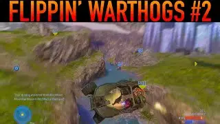FLIPPIN WARTHOGS #2 #halo #halomcc #gameplay #chaos #shorts #warthog