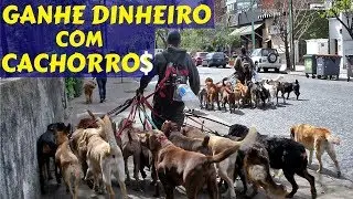 💰As 10 Melhores Ideias de Negócios para Quem Gosta de Cachorros
