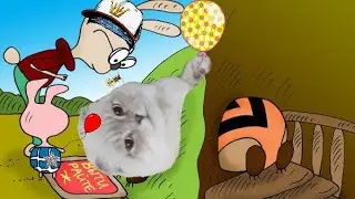 кот Тоша  Винни Пух - застрял))