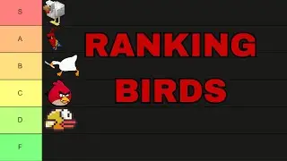 BIRD TIER LIST