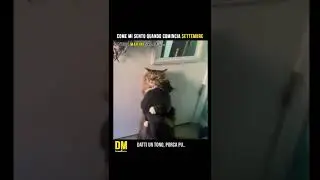 Come mi sento quando comincia settembre