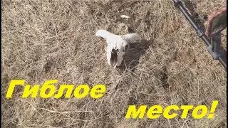 Гиблое место!