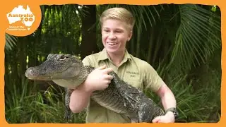 Robert Irwin's virtual Australia Zoo tour!