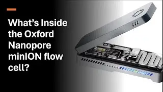 What's Inside Oxford Nanopore minION device?