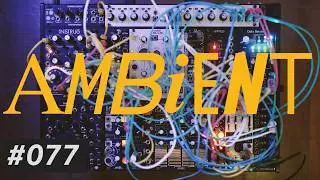 Session 077 / Modular Synth Ambient : 15min