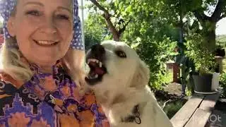 #ДНЕПР