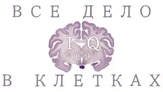 Цитоархитектоника [ВЕБИНАР 3]
