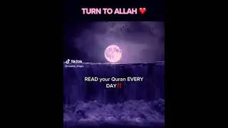 islamic videos 