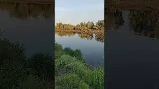 природа, рыбалка