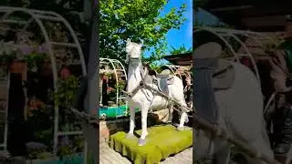 Кусары Хыдыр ресторан / Qusar Xidir restoran 2022