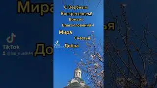 С Вербным Воскресеньем ! 