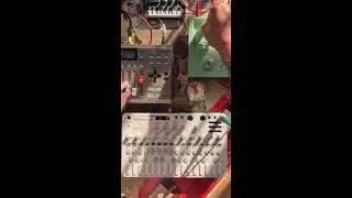 Blossom Bisquits Non stop  Jam Compilation vol.24