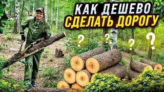 Как дешево сделать дорогу к своему участку. ч1. Вырубка леса