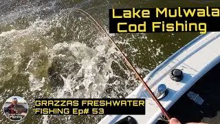 Lake Mulwala | Murray Cod Fishing
