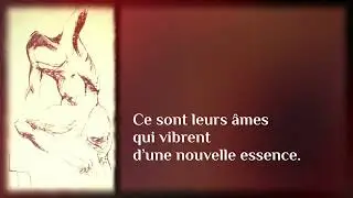 Jérôme Rapin