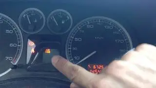 Peugeot 307 - Airbag error - Failures - DIYChannel