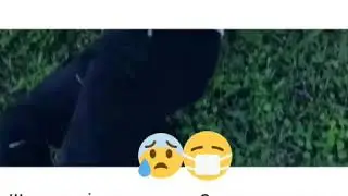 Замира Медуза Қазақша