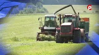 Заготовка зеленой массы