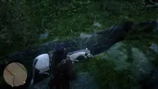 RDR2 horse crack