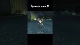 Тушканчик зоны. Монстры из игры STALKER 