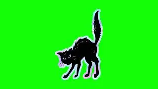 GREEN SCREEN CATS FREE FOR VIDEOS 44 - Green Screen Effects