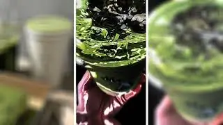PRESET ALIGHT MOTION KEREN || SOUND DJ SAMPE BAWAH MENGSERAM VIRAL TIKTOK 2022 !!!