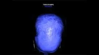 Twin Stumps - Missing Persons