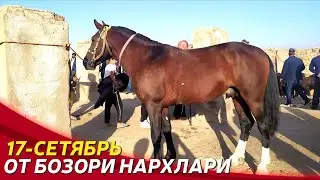 ОТ НАРХЛАРИ ТУШМОҚДА? //СУРХОНДАРЁ САРИОСИЁ ПАЙШАНБА ОТ БОЗОРИ