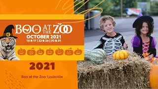 Trick or Treat | Boo at the Zoo