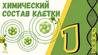 Урок по Биологии №1 - Химический Состав Клетки