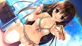 車載動画