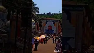 #goa #worldwildlifeday #animals #dolphin #trending #shorts #animals #viral #viralvideo #travel #trip