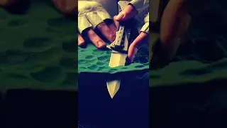 #ASMR