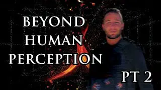 The Energetic Connection: Dogs, Orbs, and Human Awareness