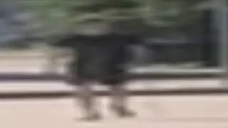Широкий Михаил идёт