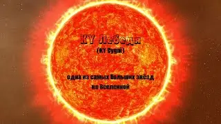 KY Лебедя (KY Cygni) – одна из самых больших звезд во Вселенной