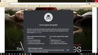 always open chrome in incognito mode by default 