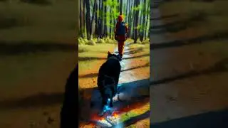 Walk Bright