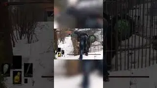Не лезь, она тебя сожрет, но это Dark Souls #darksouls #meme #bear #funnyvideo