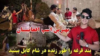 شام کابل در بند قرغه به طور زنده | بهترین اسپ افغانستان در قرغه| Kabul Night in Qargha Live Stream