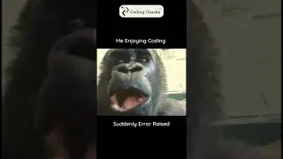 Programming Meme | Coding Meme 😂😂 - Error raised | Coding Chaska